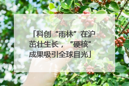 科创“雨林”在沪茁壮生长，“硬核”成果吸引全球目光