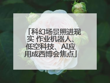科幻场景照进现实 作业机器人、低空科技、AI应用成西博会焦点