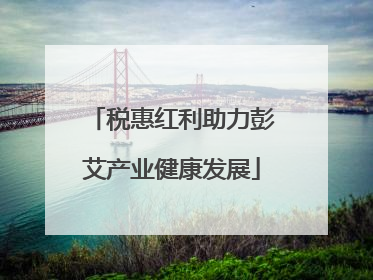 税惠红利助力彭艾产业健康发展