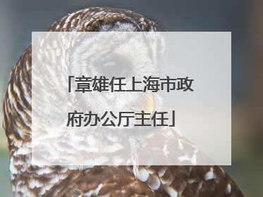 章雄任上海市政府办公厅主任