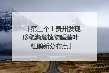 第三个！贵州发现珍稀濒危植物睡莲叶杜鹃新分布点