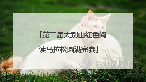 第二届大别山红色阅读马拉松圆满完赛