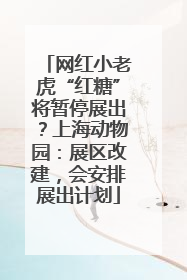 网红小老虎“红糖”将暂停展出？上海动物园：展区改建，会安排展出计划