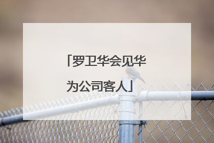 罗卫华会见华为公司客人