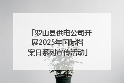 罗山县供电公司开展2025年国际档案日系列宣传活动