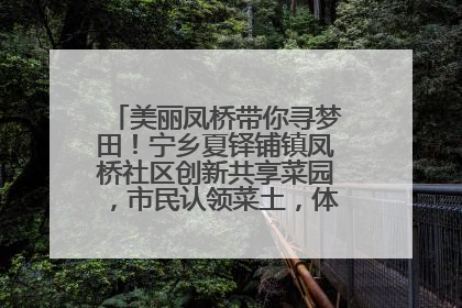 美丽凤桥带你寻梦田！宁乡夏铎铺镇凤桥社区创新共享菜园，市民认领菜土，体验耕种收获乐趣