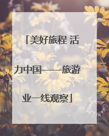 美好旅程 活力中国——旅游业一线观察