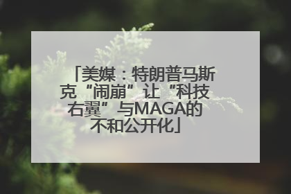 美媒：特朗普马斯克“闹崩”让“科技右翼”与MAGA的不和公开化
