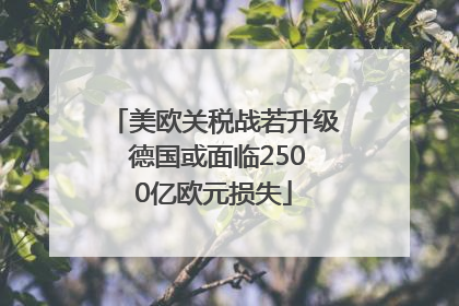 美欧关税战若升级 德国或面临2500亿欧元损失