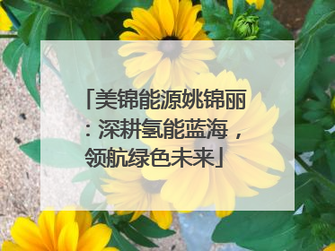 美锦能源姚锦丽：深耕氢能蓝海，领航绿色未来
