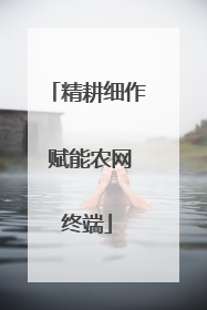 精耕细作 赋能农网终端