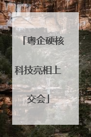 粤企硬核科技亮相上交会