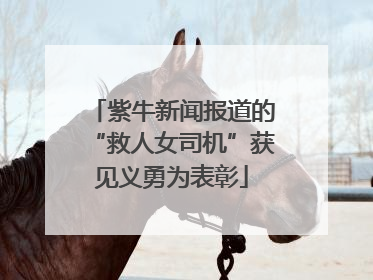紫牛新闻报道的“救人女司机”获见义勇为表彰