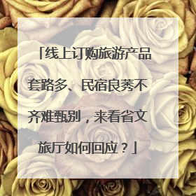 线上订购旅游产品套路多、民宿良莠不齐难甄别，来看省文旅厅如何回应？