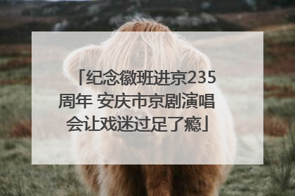 纪念徽班进京235周年 安庆市京剧演唱会让戏迷过足了瘾