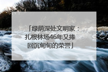 绿荫深处文明家：扎根林场46年又捧回沉甸甸的荣誉