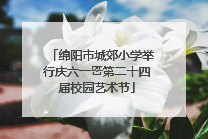 绵阳市城郊小学举行庆六一暨第二十四届校园艺术节