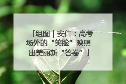 组图｜安仁：高考场外的“笑脸”映照出美丽新“答卷”
