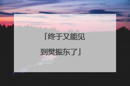 终于又能见到樊振东了