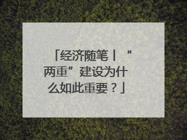 经济随笔丨“两重”建设为什么如此重要？