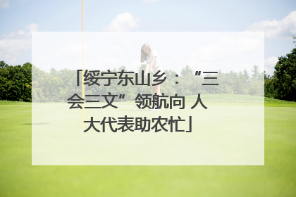 绥宁东山乡：“三会三文”领航向 人大代表助农忙