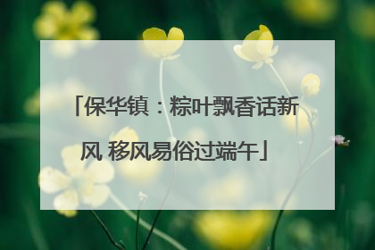 保华镇：粽叶飘香话新风 移风易俗过端午