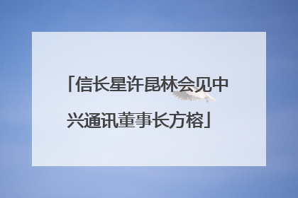 信长星许昆林会见中兴通讯董事长方榕