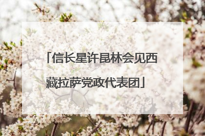 信长星许昆林会见西藏拉萨党政代表团