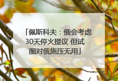 佩斯科夫：俄会考虑30天停火提议 但试图对俄施压无用