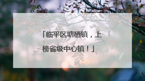 临平区塘栖镇，上榜省级中心镇！