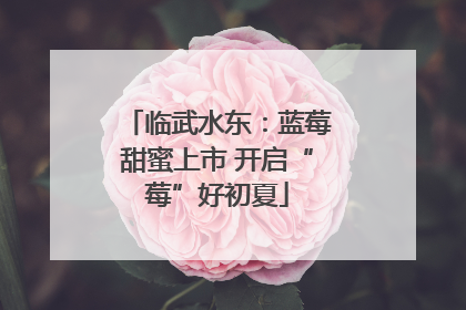 临武水东：蓝莓甜蜜上市 开启“莓”好初夏