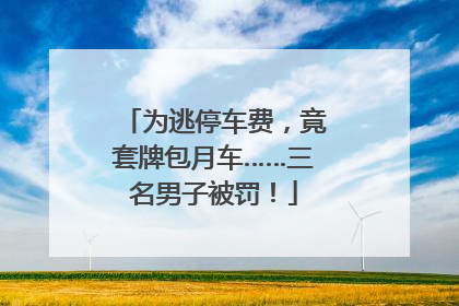 为逃停车费，竟套牌包月车……三名男子被罚！