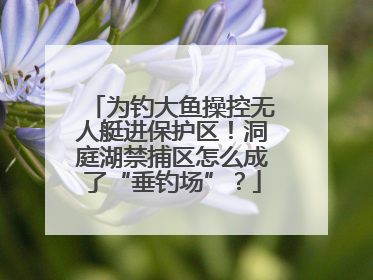 为钓大鱼操控无人艇进保护区！洞庭湖禁捕区怎么成了“垂钓场”？