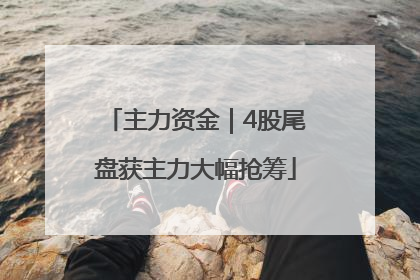 主力资金｜4股尾盘获主力大幅抢筹