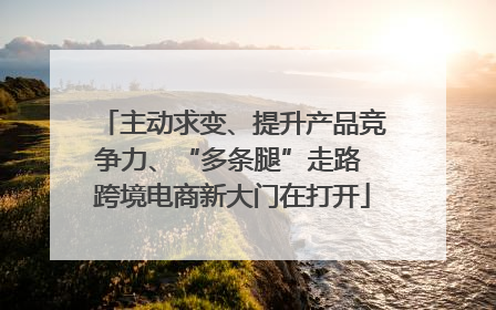 主动求变、提升产品竞争力、“多条腿”走路 跨境电商新大门在打开