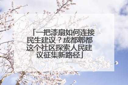 一把漆扇如何连接民生建议？成都郫都这个社区探索人民建议征集新路径