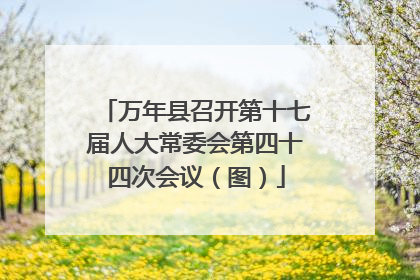 万年县召开第十七届人大常委会第四十四次会议（图）