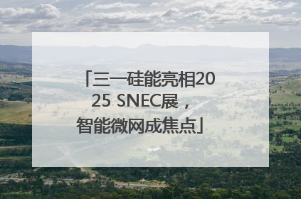 三一硅能亮相2025 SNEC展，智能微网成焦点