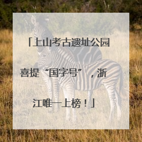上山考古遗址公园喜提“国字号”，浙江唯一上榜！