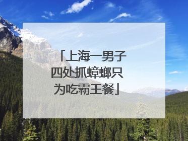 上海一男子四处抓蟑螂只为吃霸王餐