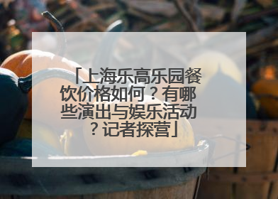 上海乐高乐园餐饮价格如何？有哪些演出与娱乐活动？记者探营