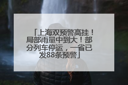 上海双预警高挂！局部雨量中到大！部分列车停运，一省已发88条预警