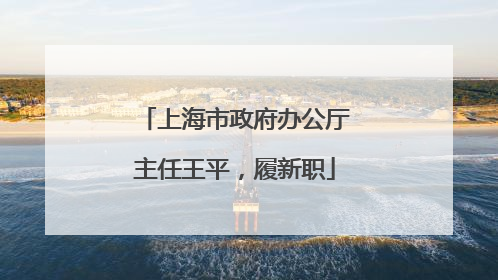 上海市政府办公厅主任王平，履新职