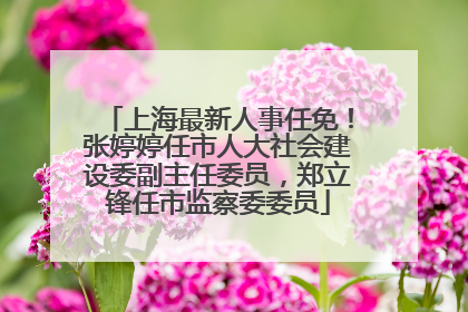 上海最新人事任免！张婷婷任市人大社会建设委副主任委员，郑立锋任市监察委委员