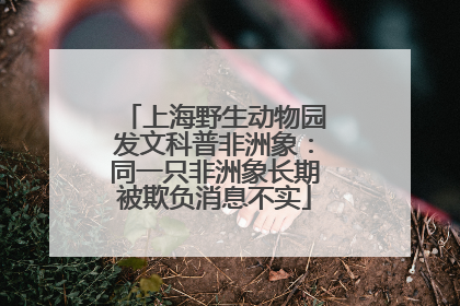 上海野生动物园发文科普非洲象：同一只非洲象长期被欺负消息不实
