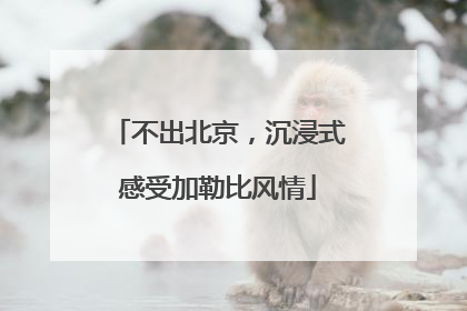不出北京，沉浸式感受加勒比风情