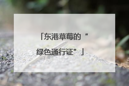 东港草莓的“绿色通行证”
