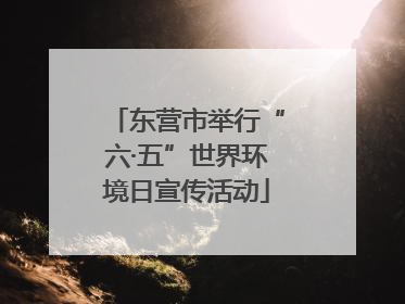 东营市举行“六·五”世界环境日宣传活动