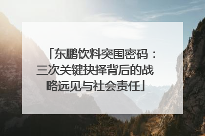东鹏饮料突围密码：三次关键抉择背后的战略远见与社会责任