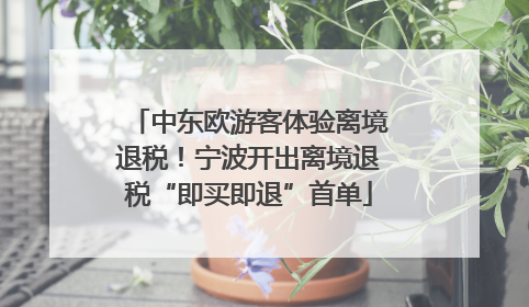 中东欧游客体验离境退税！宁波开出离境退税“即买即退”首单